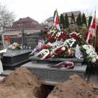 zdjęcie nr 16