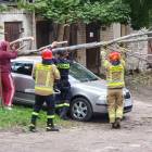 zdjęcie nr 7