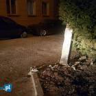 Fotka nr 5 z 7