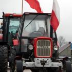 zdjęcie nr 14
