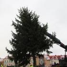 zdjęcie nr 7