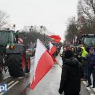 zdjęcie nr 9