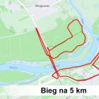 zdjęcie nr 11