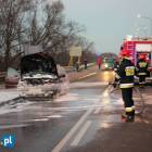 zdjęcie nr 8