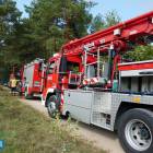 Fotka nr 1 z 17