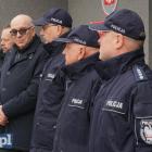 zdjęcie nr 15