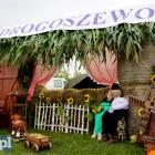 zdjęcie nr 17
