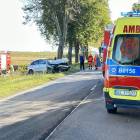 zdjęcie nr 7