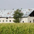 zdjęcie nr 36