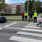 Fotka nr 1 z 4