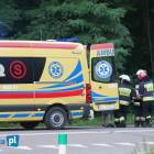 Fotka nr 2 z 11