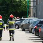 Fotka nr 2 z 14