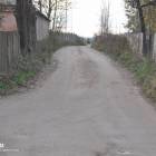 Fotka nr 4 z 6