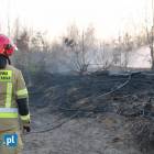 zdjęcie nr 19
