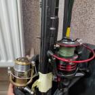 Fotka nr 3 z 9