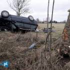 zdjęcie nr 11