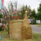 zdjęcie nr 12