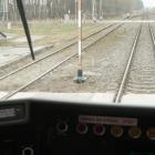 zdjęcie nr 22