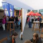 zdjęcie nr 13