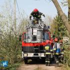 Fotka nr 4 z 12