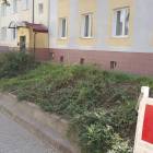 Fotka nr 1 z 10