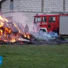 Fotka nr 5 z 7