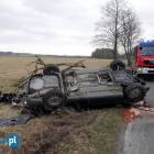 zdjęcie nr 14
