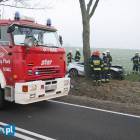 zdjęcie nr 11