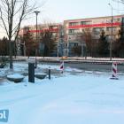 Fotka nr 2 z 10