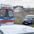 zdjęcie nr 7