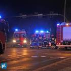 Fotka nr 2 z 12