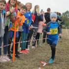zdjęcie nr 13