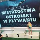 Fotka nr 2 z 4