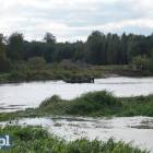 zdjęcie nr 22