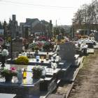 zdjęcie nr 24