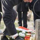 zdjęcie nr 21