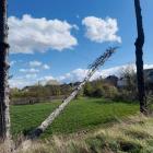 Fotka nr 1 z 5