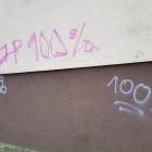 Fotka nr 4 z 6