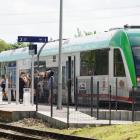 zdjęcie nr 31