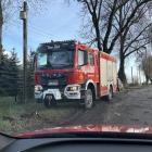 Fotka nr 1 z 11