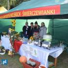 zdjęcie nr 14