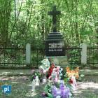 zdjęcie nr 27