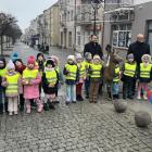 zdjęcie nr 24