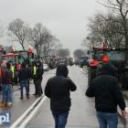 zdjęcie nr 15