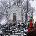 zdjęcie nr 21