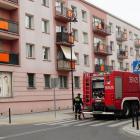Fotka nr 1 z 11