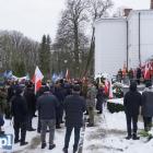 zdjęcie nr 24