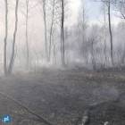 zdjęcie nr 19