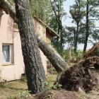 zdjęcie nr 39