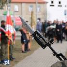 zdjęcie nr 16